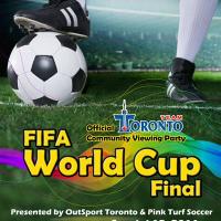 FIFA World Cup Final Game Viewing Party
